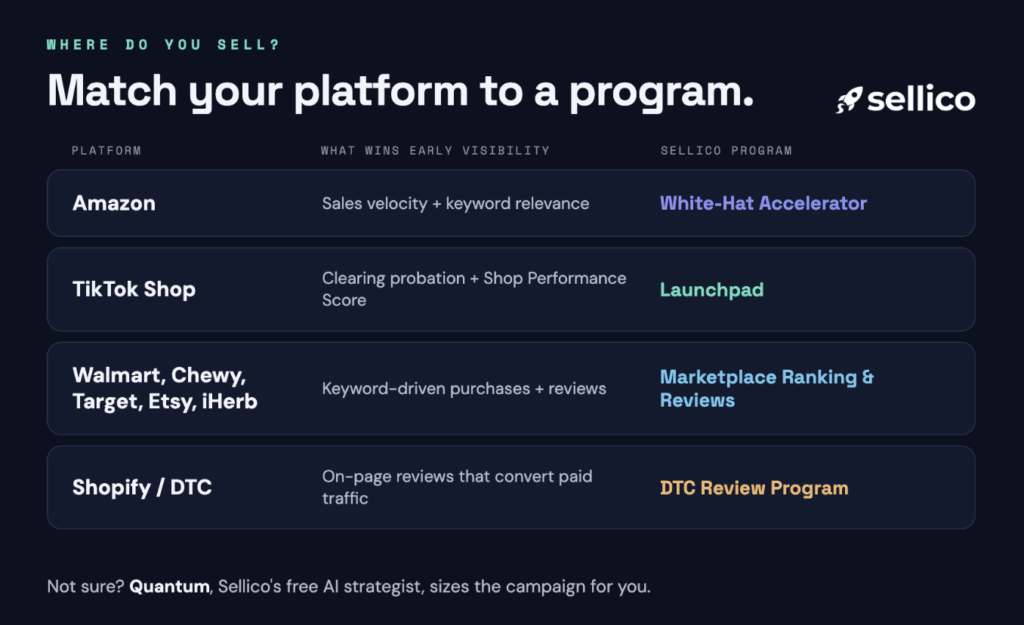 Sellico - Ecommerce Launch Programs
